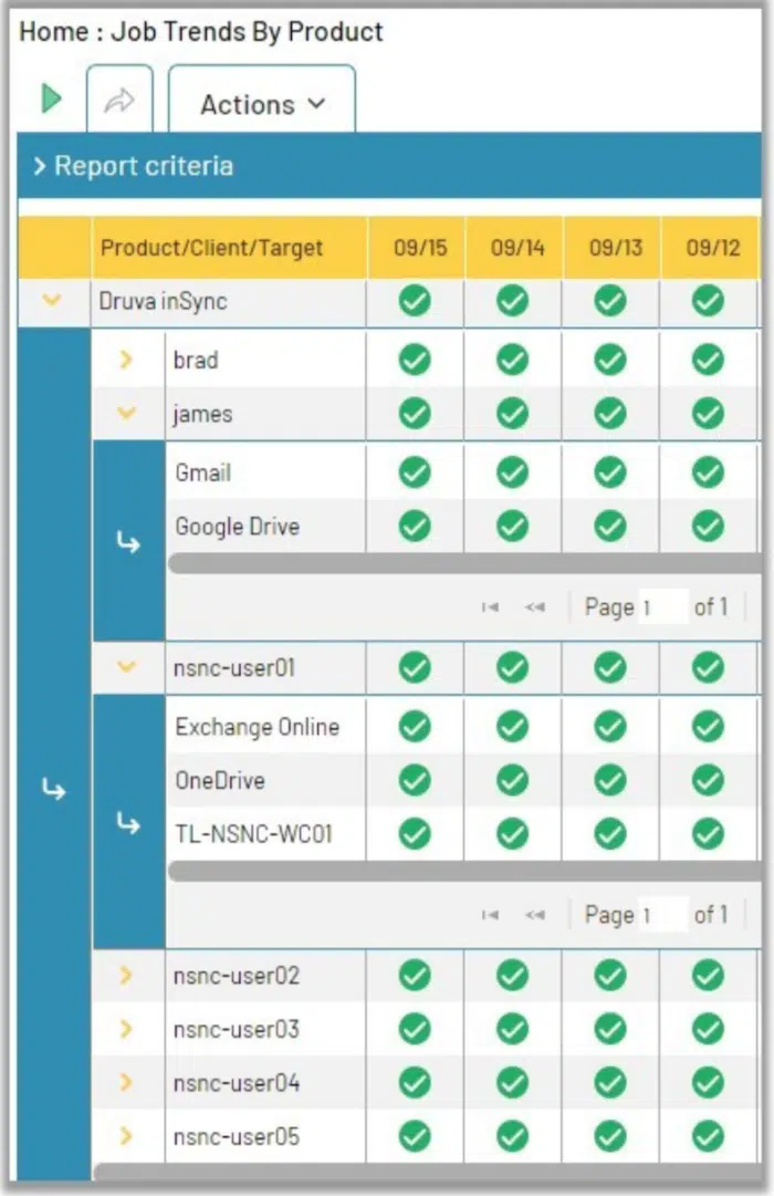 Druva InSync Endpoint Reporting