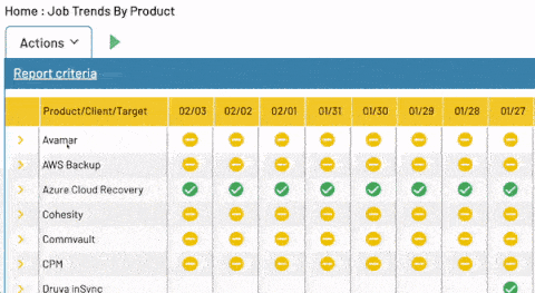 Backup Job Performance Report