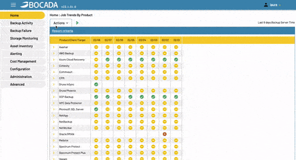 Bocada Customizable Backup Performance Report