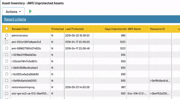 Unprotected Assets Report