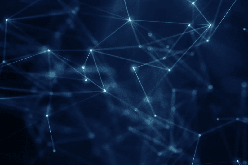 Background Option 3 800 x 533